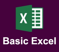 Basic Excel