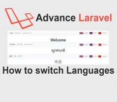 How to switch languages in Advance Laravel