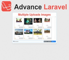 Upload Multiple Images in Advance Laravel
